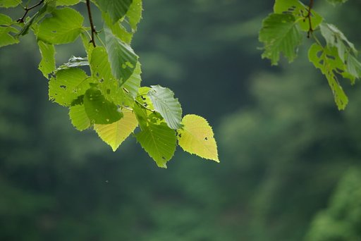 夏は終わりぬ．．．？