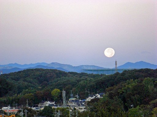 晩秋の残月