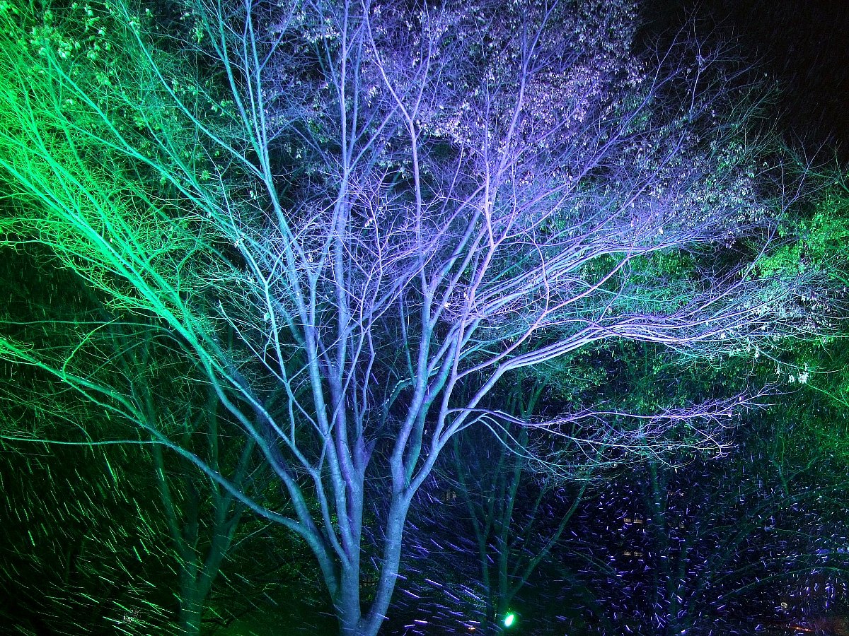 冬の夜