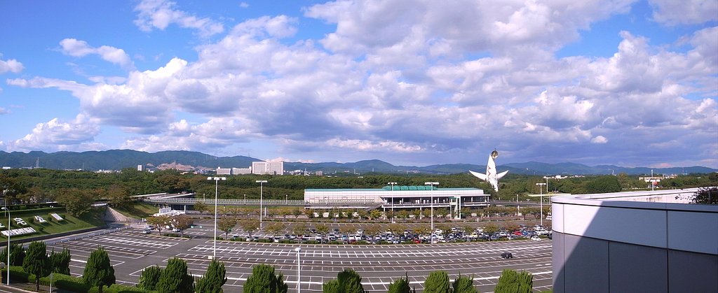 【秋】　大阪の秋です！