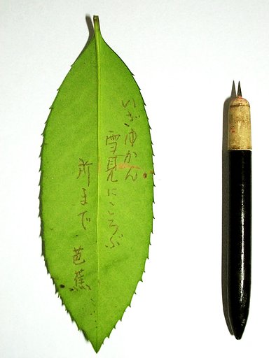 はがき