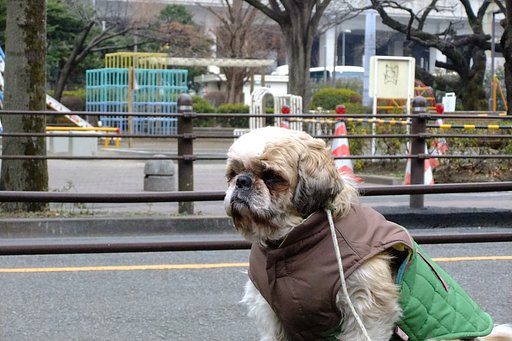 物思い？