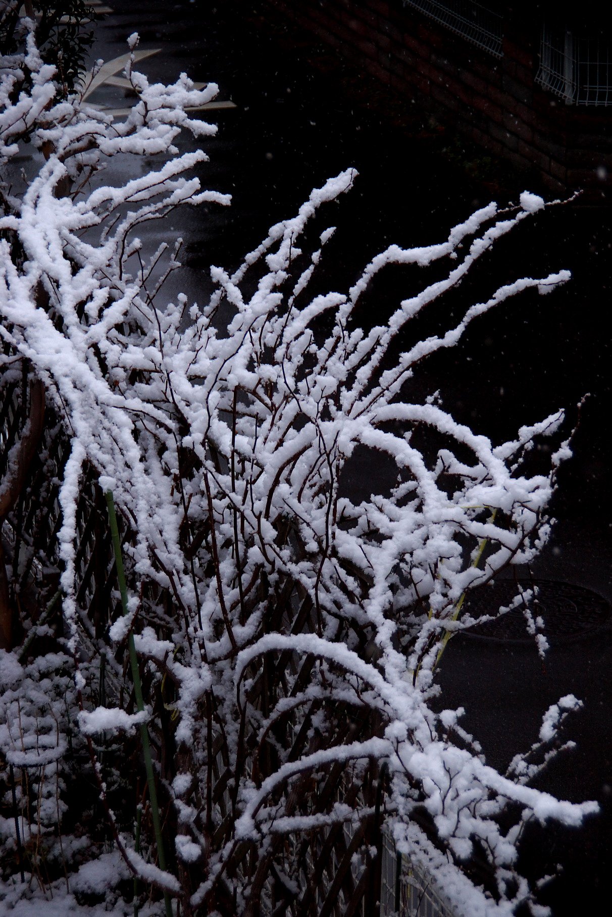 雪模様（リハビリ版）