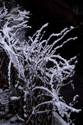 雪模様（リハビリ版）