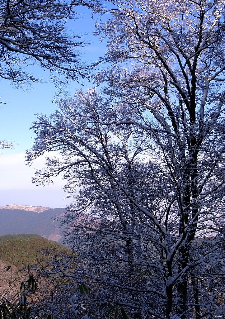 雪景色