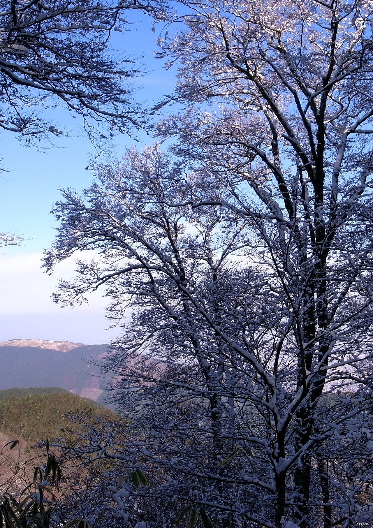 雪景色