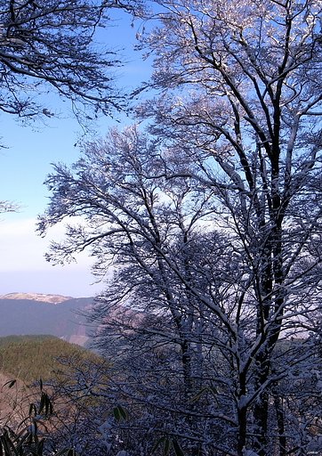 雪景色