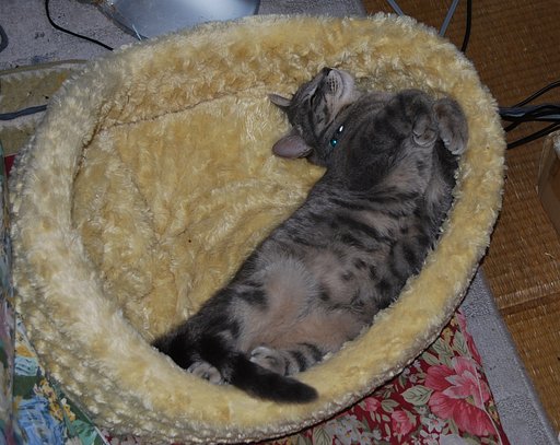 気持ち良いのだ！