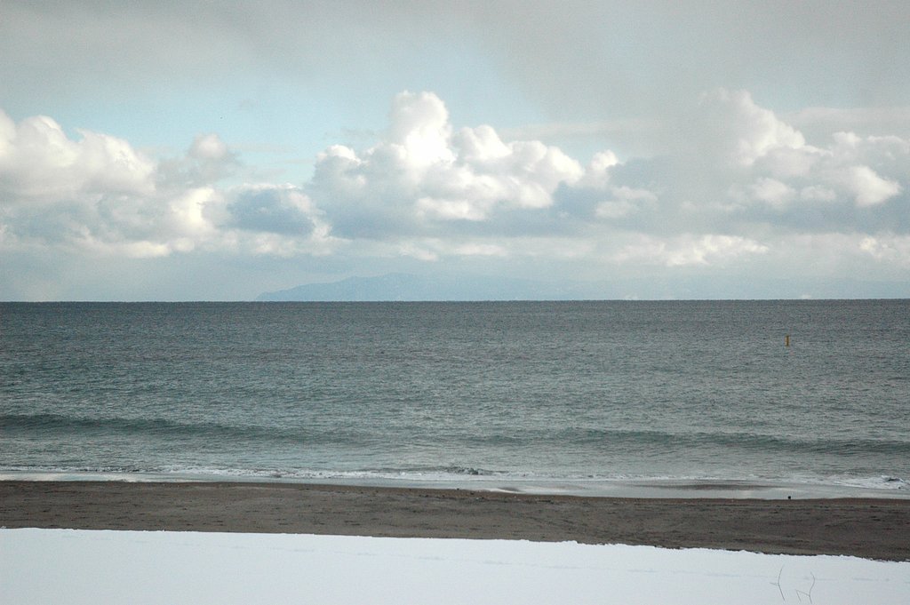 海