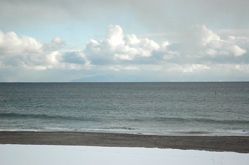 海