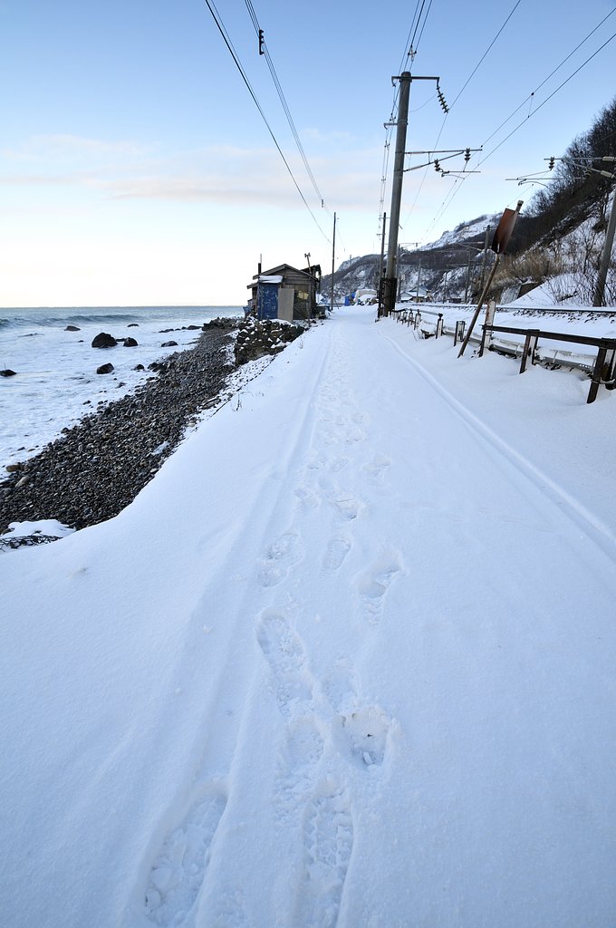 海沿いの道