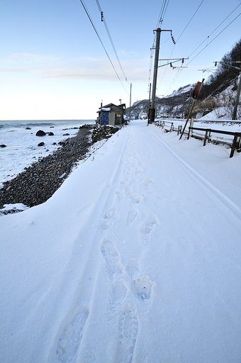 海沿いの道