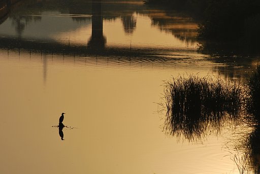 逆光の景色