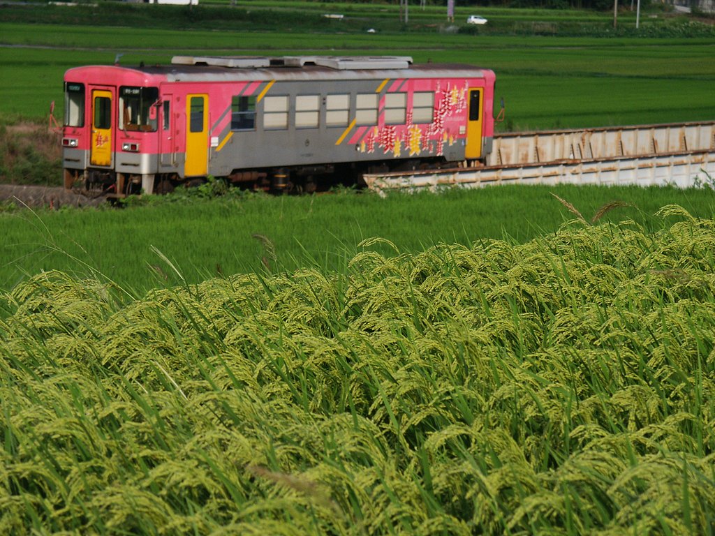 近づく秋の気配とワンマンカー