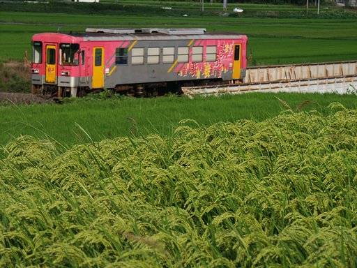 近づく秋の気配とワンマンカー