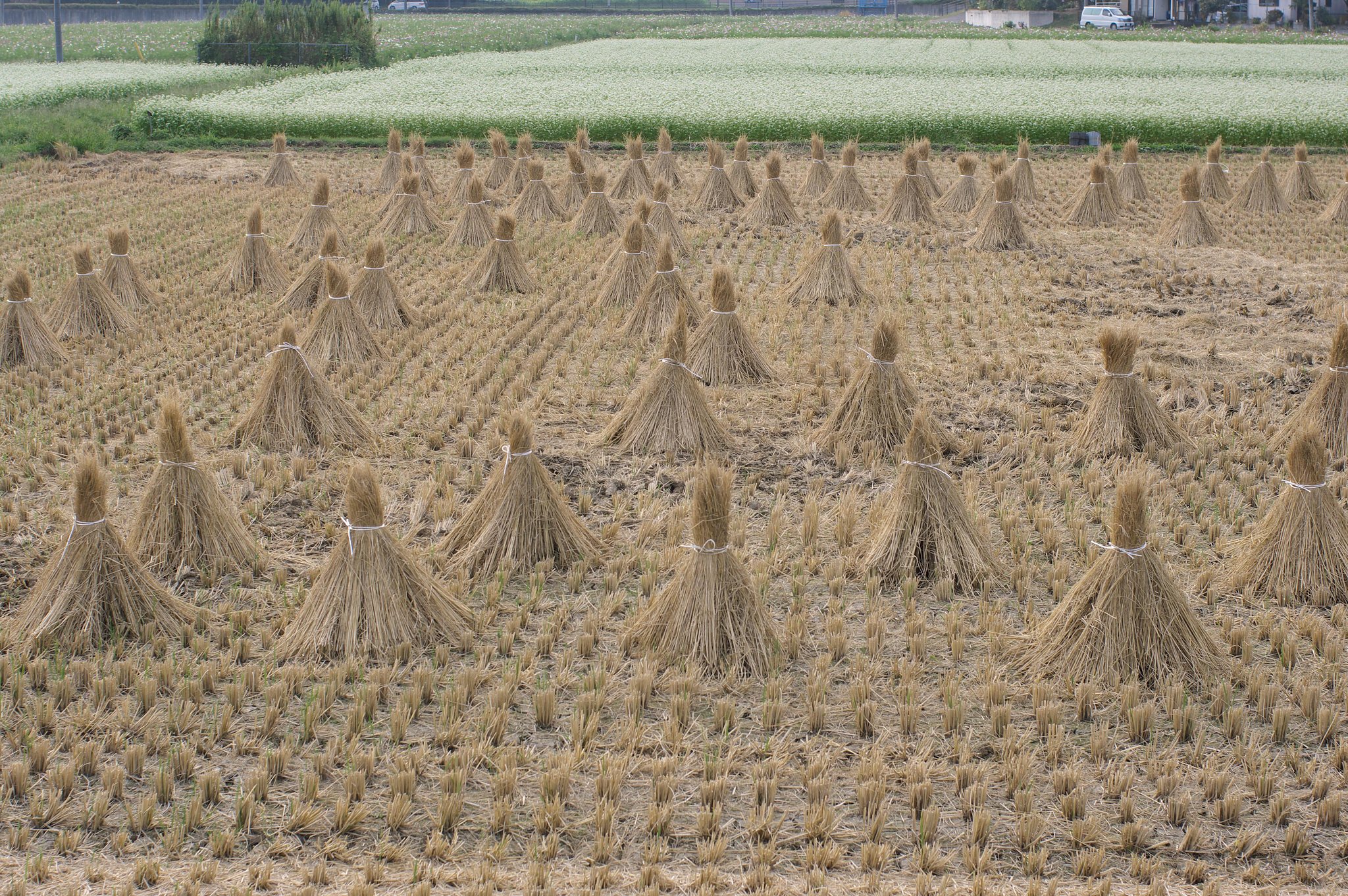 田舎の風景・・・