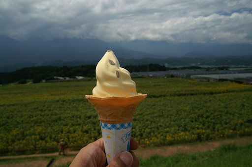ひまわりソフトクリーム