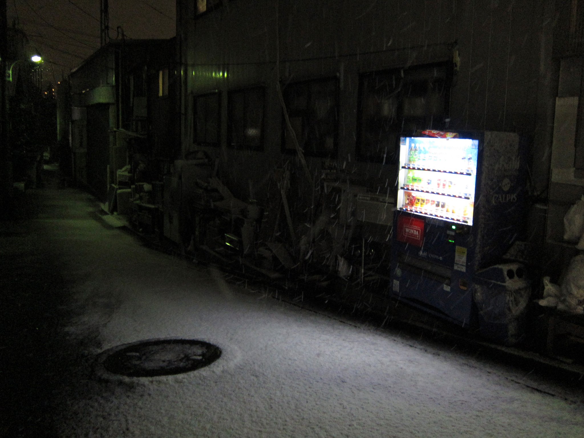 東京で雪！