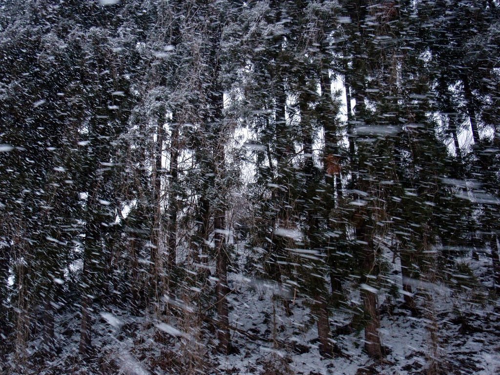 吹雪