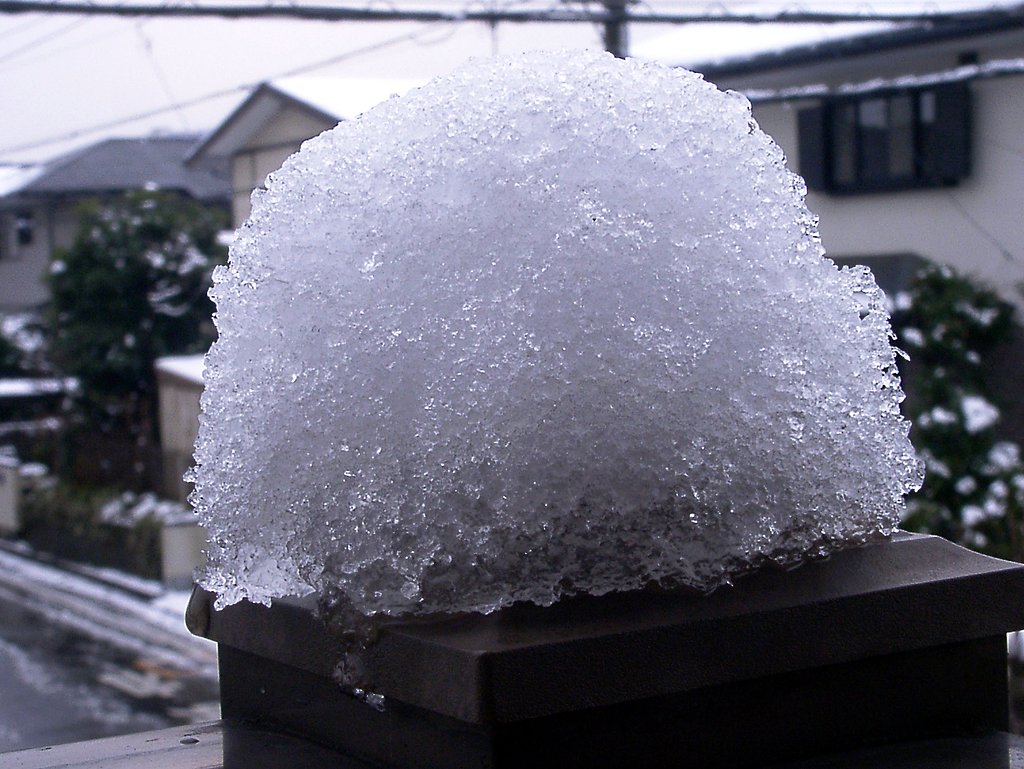 ◆雪のわが庭-C止 おまけ