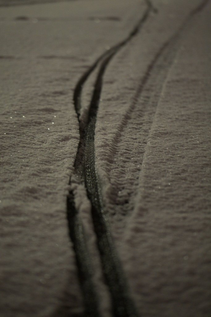 雪の朝