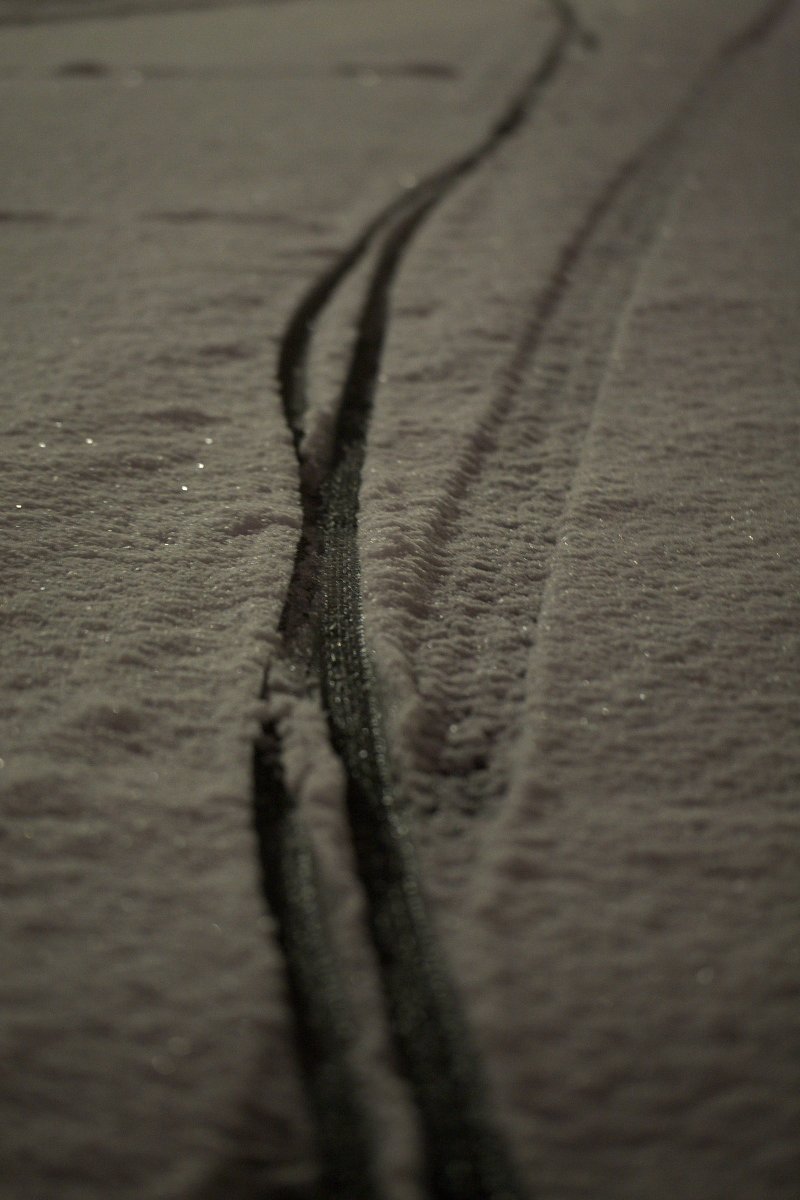 雪の朝