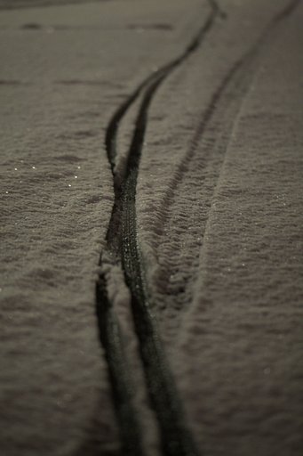 雪の朝