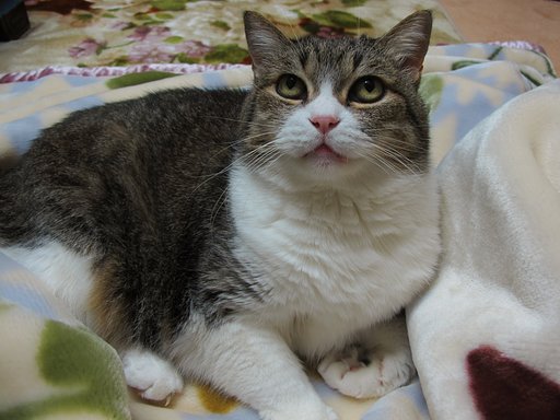 おや？