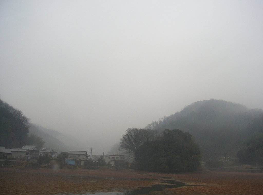 雨