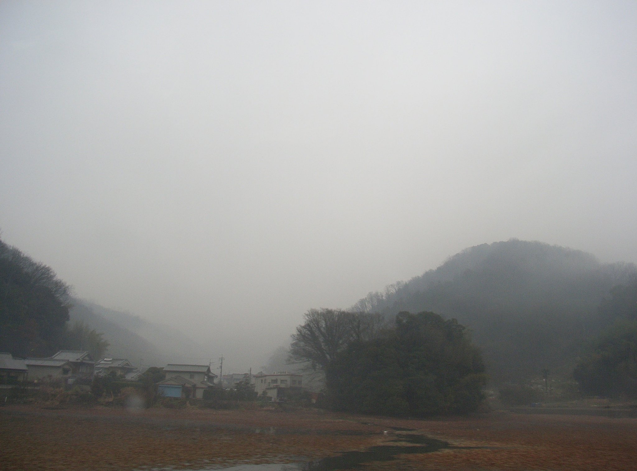 雨