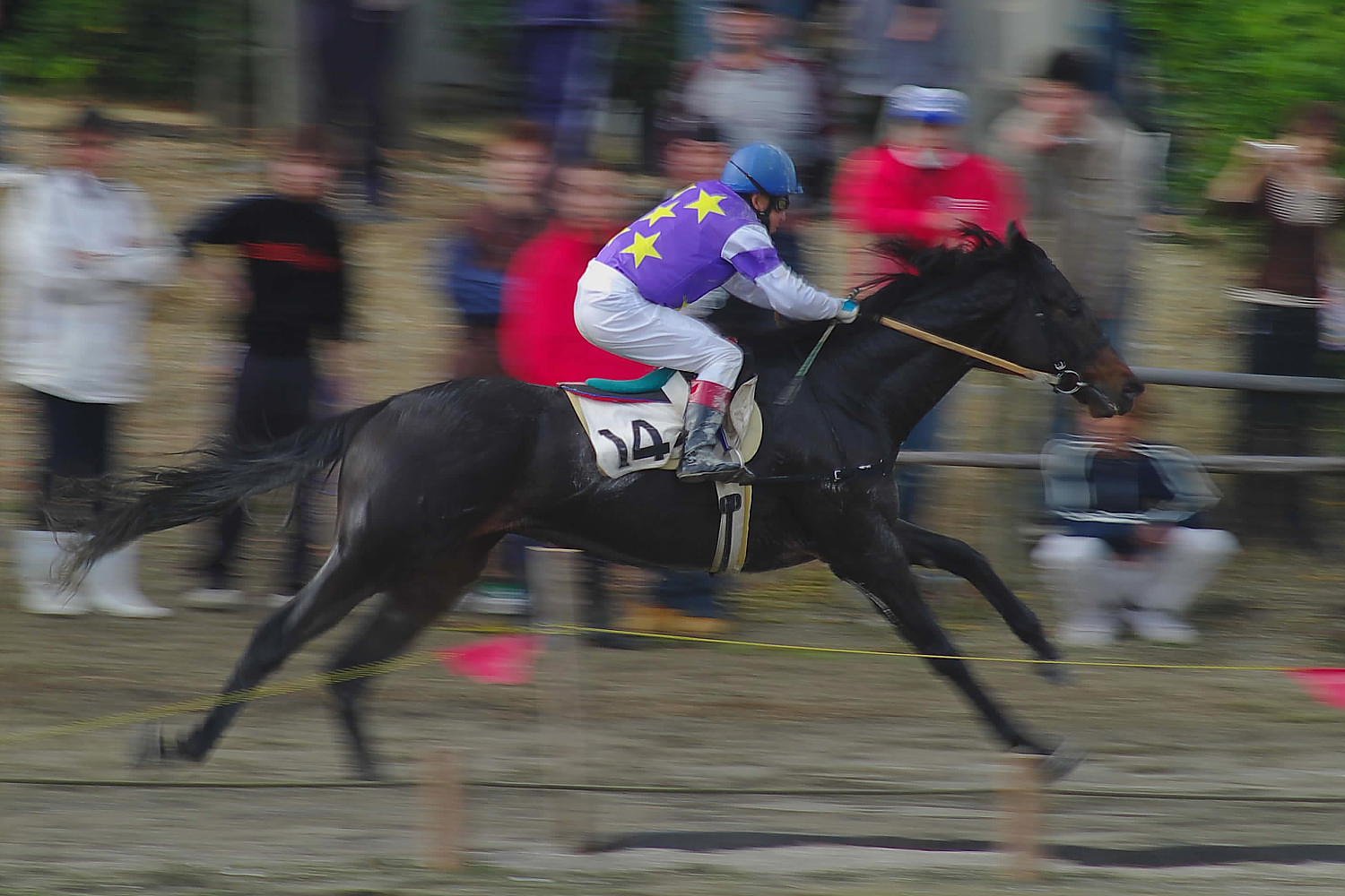 【秋】色の草競馬　３