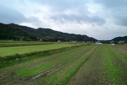 雨が止まない夕暮れ