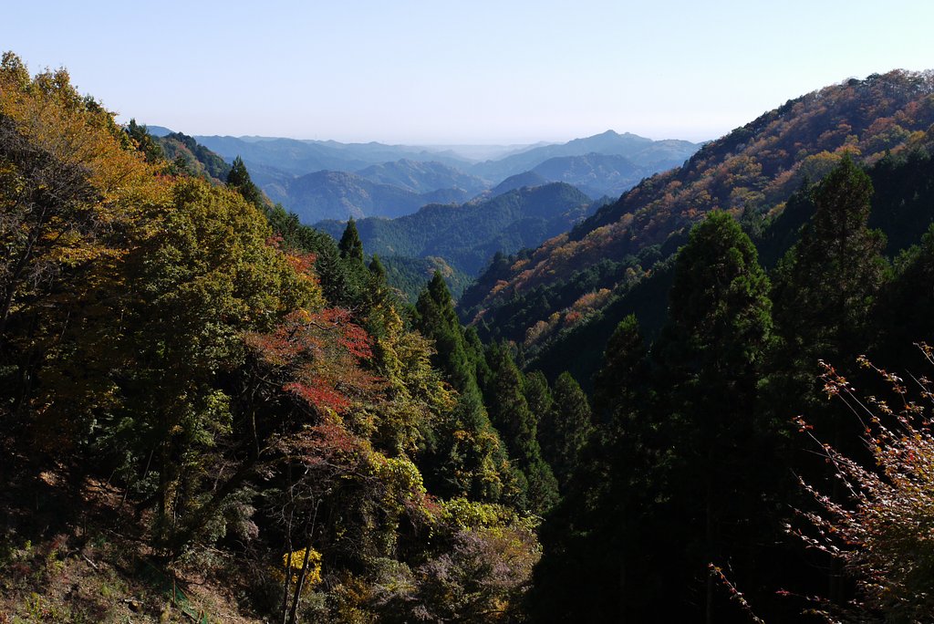 正丸峠からの眺め