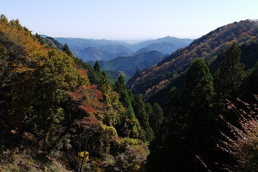 正丸峠からの眺め