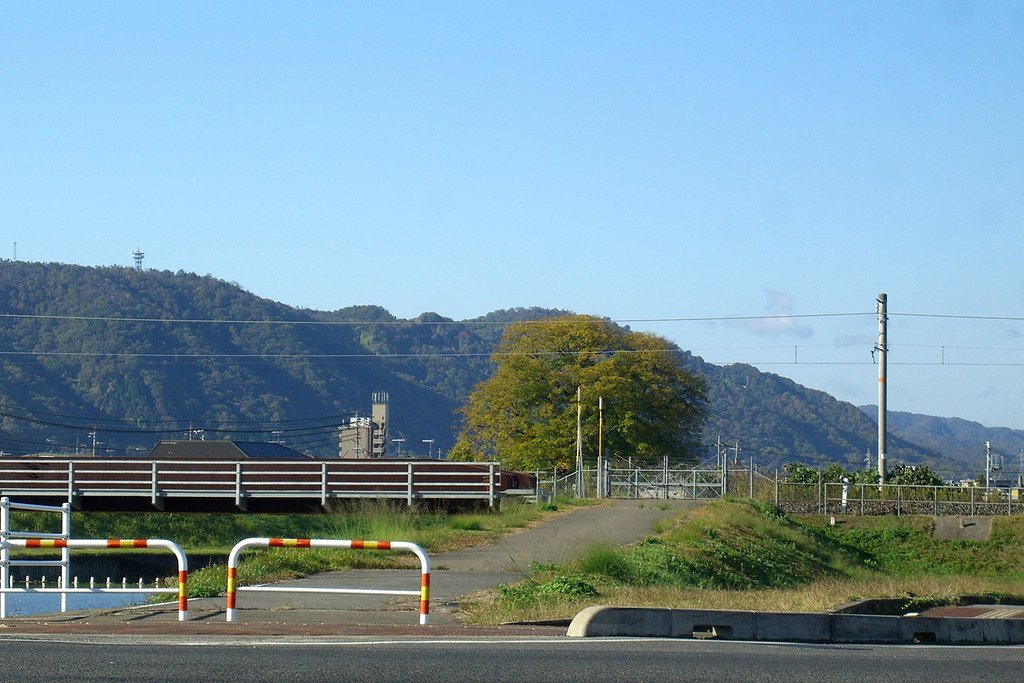 秋めいた快晴