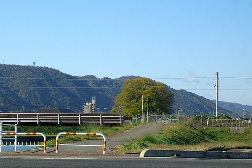 秋めいた快晴