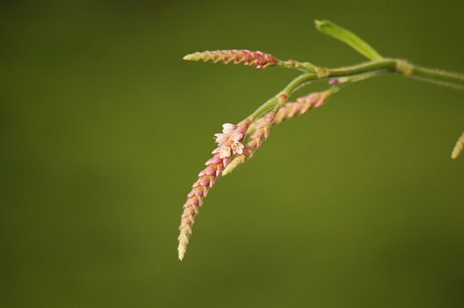 初めてのレンズ交換