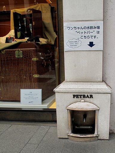 PET BER
