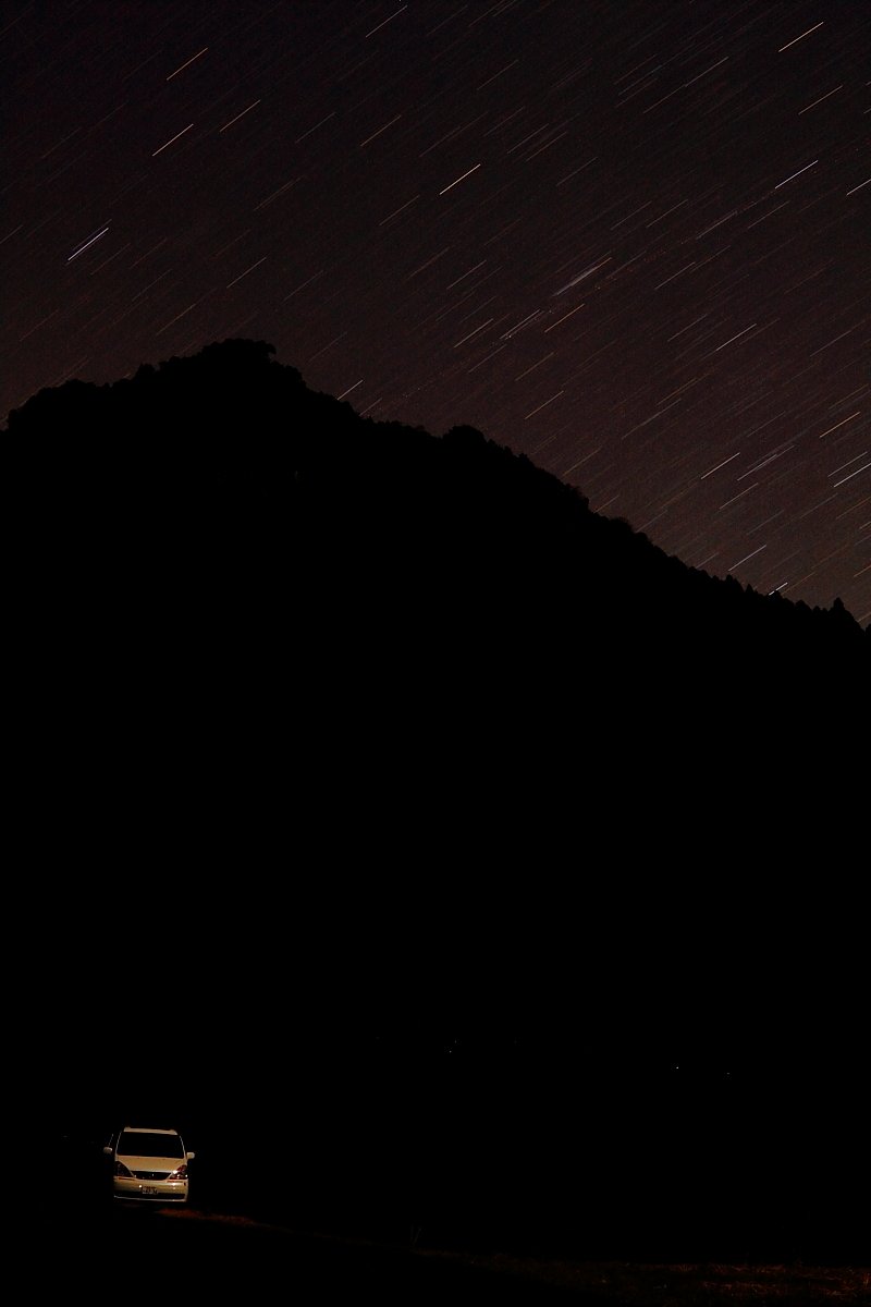 星降る夜に