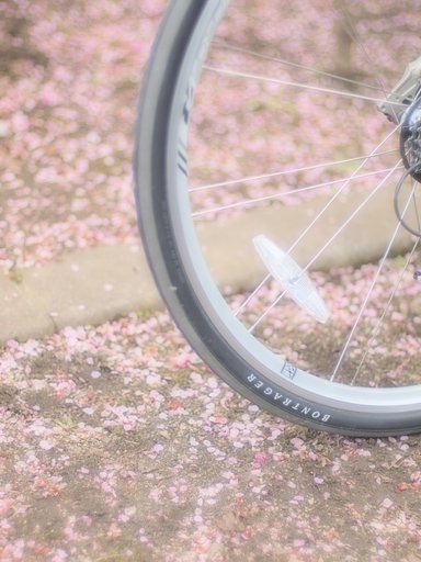 【やすらぎ】 春のロンド（輪舞曲）