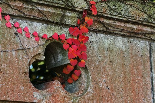 【秋】塀のお飾り