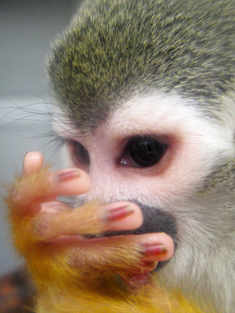 ムフフ．．．