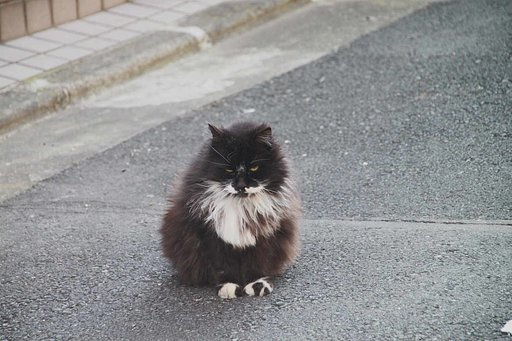 だるまさん