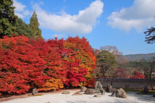 古都の紅葉