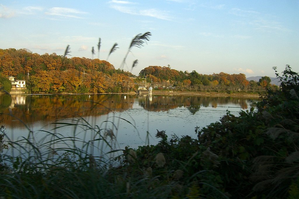 晩秋の大池