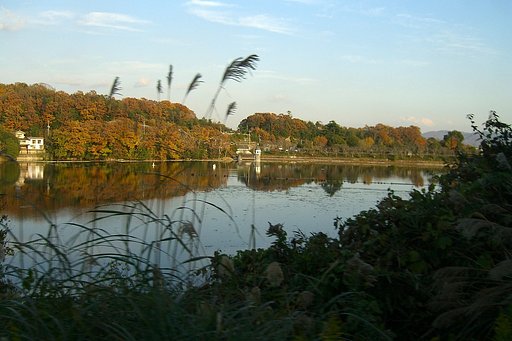 晩秋の大池