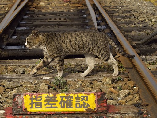 3月2日の写真