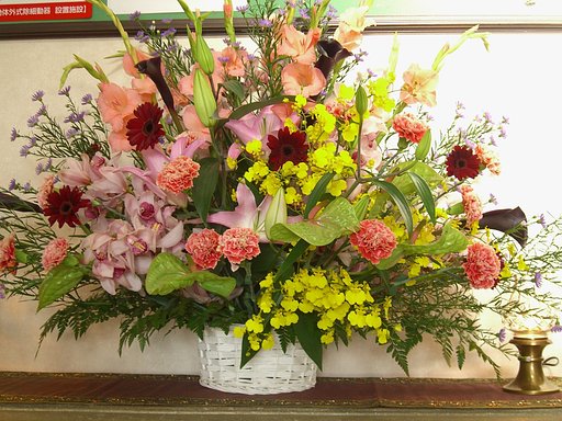 豪華