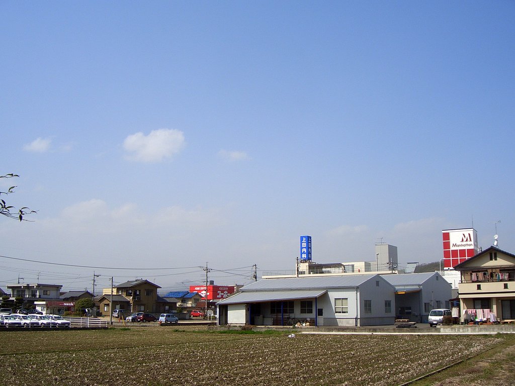 黄砂かな