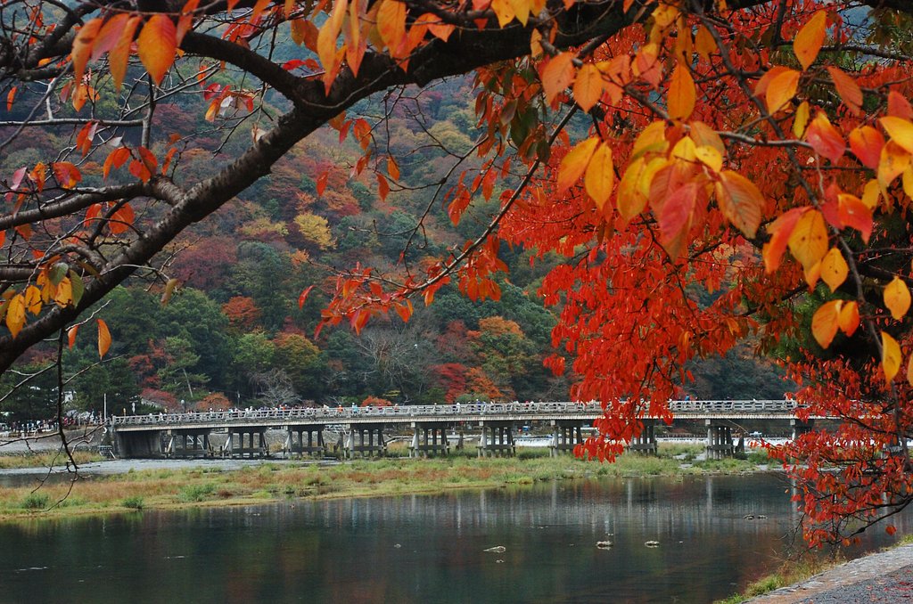 嵐山の紅葉